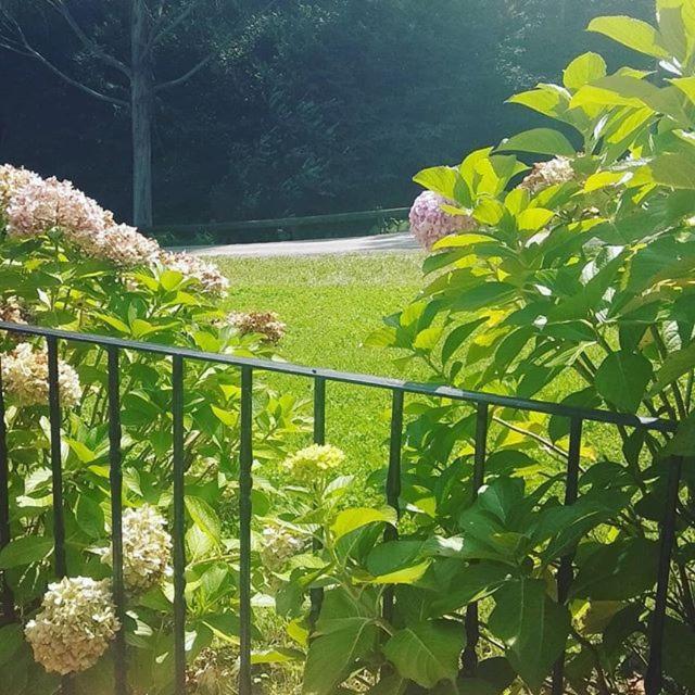 Somavilla Cantabria エクステリア 写真